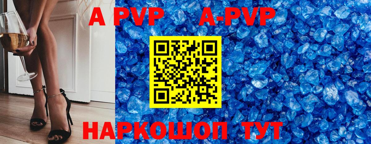 APVP СК Бердск