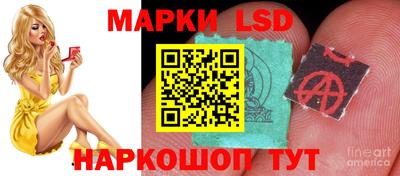 молекула духа Пугачёв