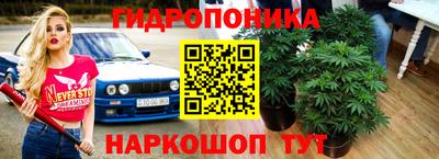 сатива Пыть-Ях