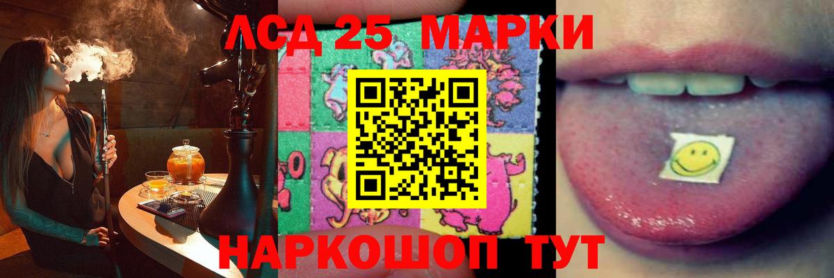 omg tor  LSD-25 экстази кислота  Лсд 25 экстази кислота  LSD-25 экстази  Вход с VPN  Бердск 