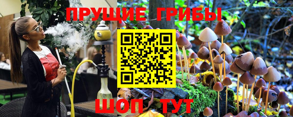 Бердск  Галлюциногенные грибы Cubensis  Вход с VPN  Псилоцибиновые грибы ЛСД 