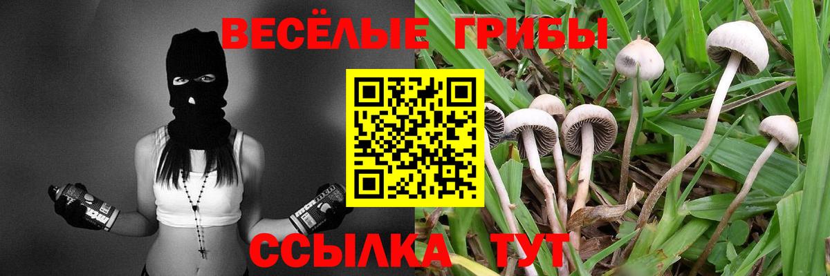 Галлюциногенные грибы мухоморы Бердск