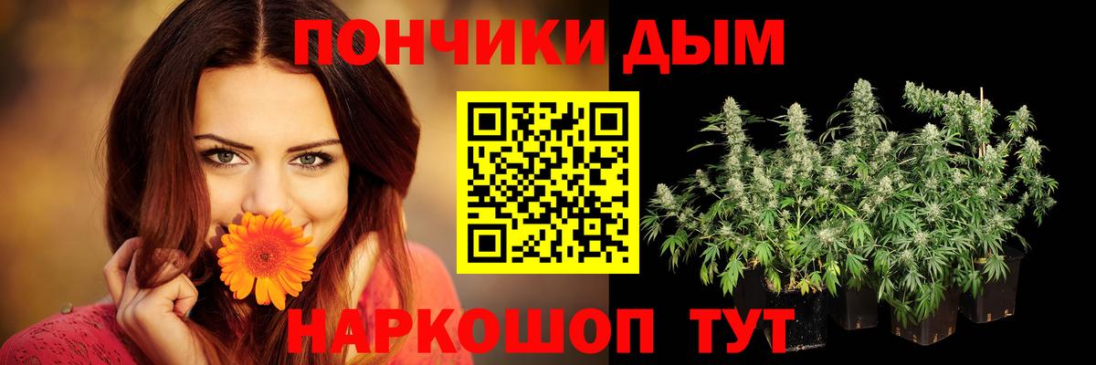 Бошки марихуана гибрид Бердск